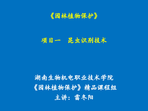 项目一  任务1-1  昆虫外部形态识别技术