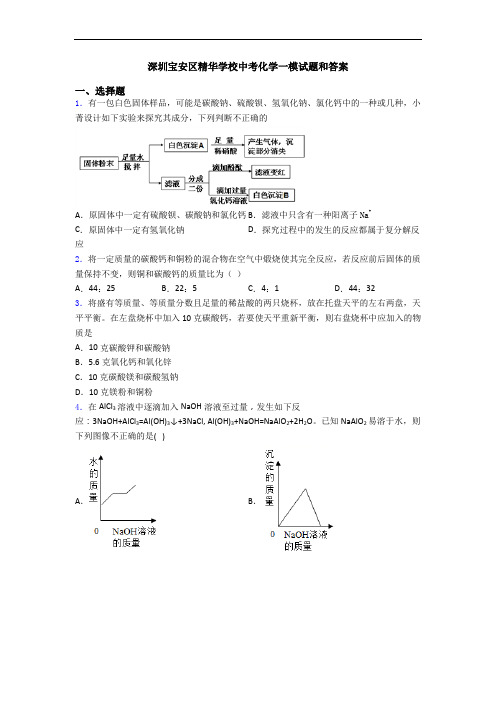 深圳宝安区精华学校中考化学一模试题和答案