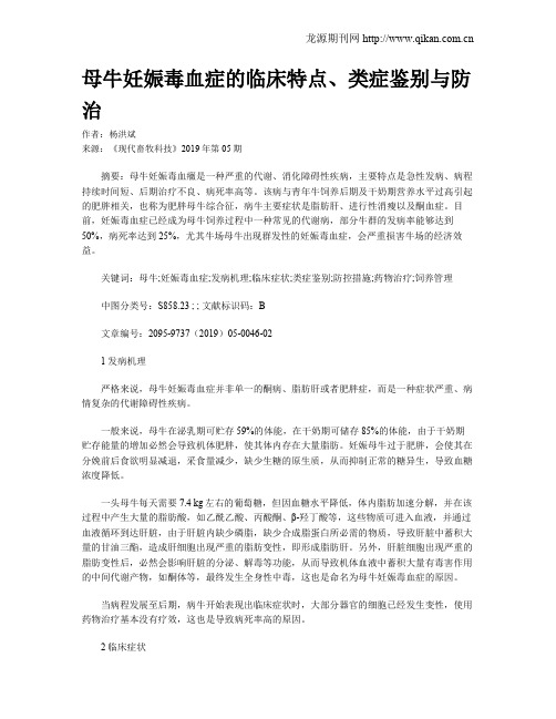 母牛妊娠毒血症的临床特点、类症鉴别与防治