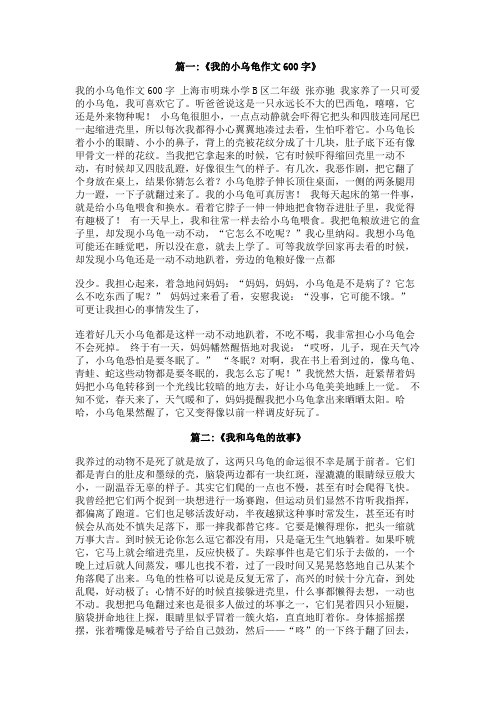 我和乌龟的故事600字