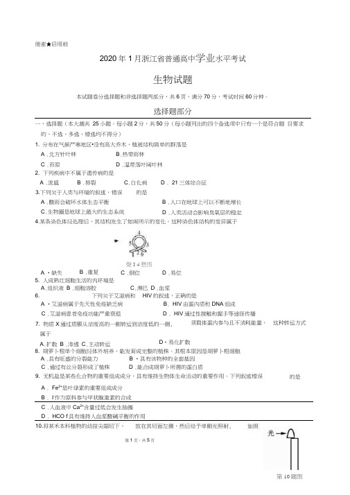 2020年1月浙江省学考生物卷(20200628182108)