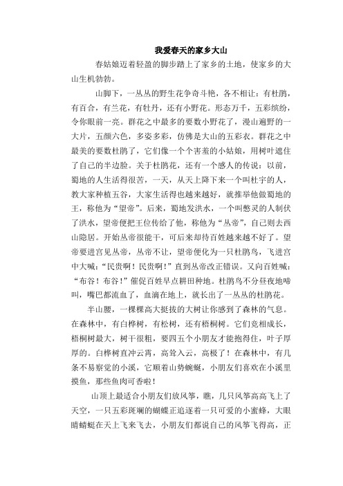 我爱春天的家乡大山