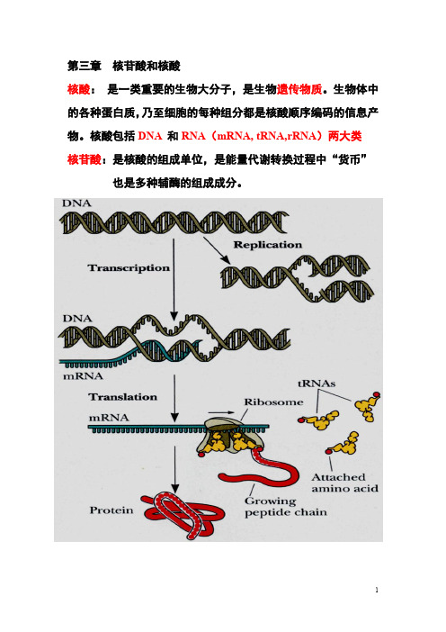 南开大学生命科学院生物化学课件31