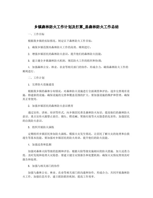 乡镇森林防火工作计划及打算_县森林防火工作总结