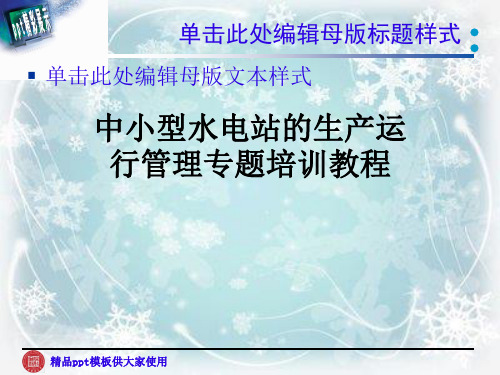 中小型水电站的生产运行管理专题培训教程