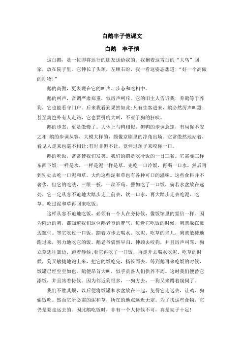 白鹅丰子恺课文