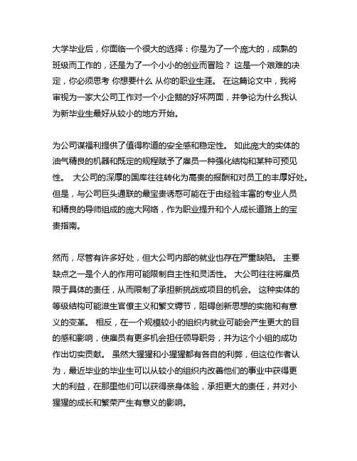 毕业后选择大公司还是小公司作文