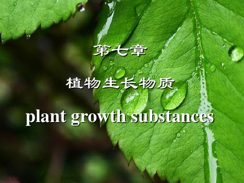 植物生理学 第七章  植物生长物质