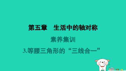 七下第五章生活中的轴对称素养集训3等腰三角形的“三线合一”作业新版北师大版