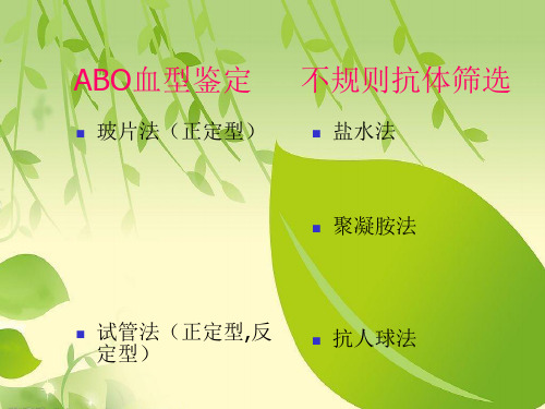 血型鉴定方法.ppt