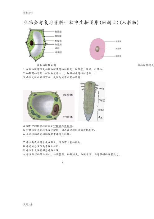 生物会考复习资料初中生物图集(附题目)(人教版)