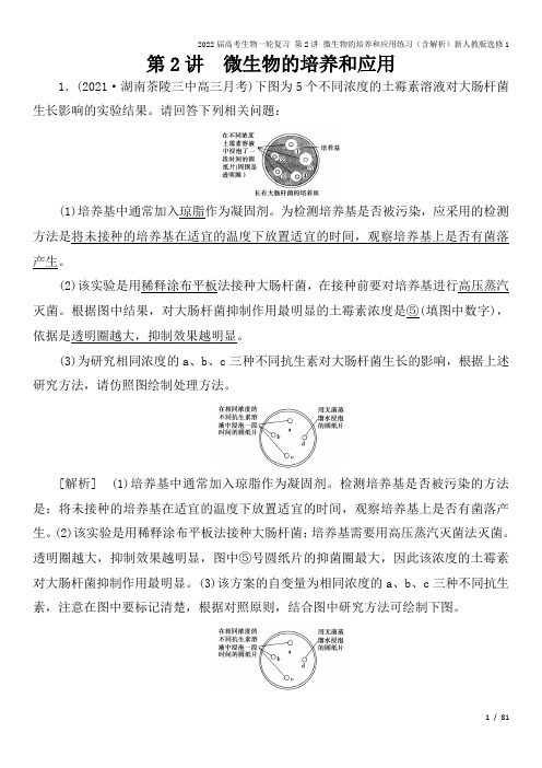 2022届高考生物一轮复习 第2讲 微生物的培养和应用练习(含解析)新人教版选修1