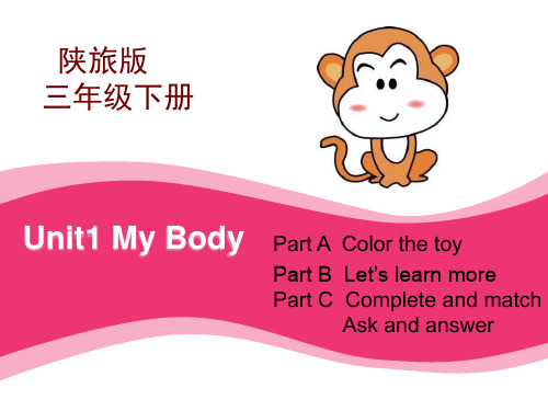 陕旅版三年级下册英语 《My Body》PPT1 