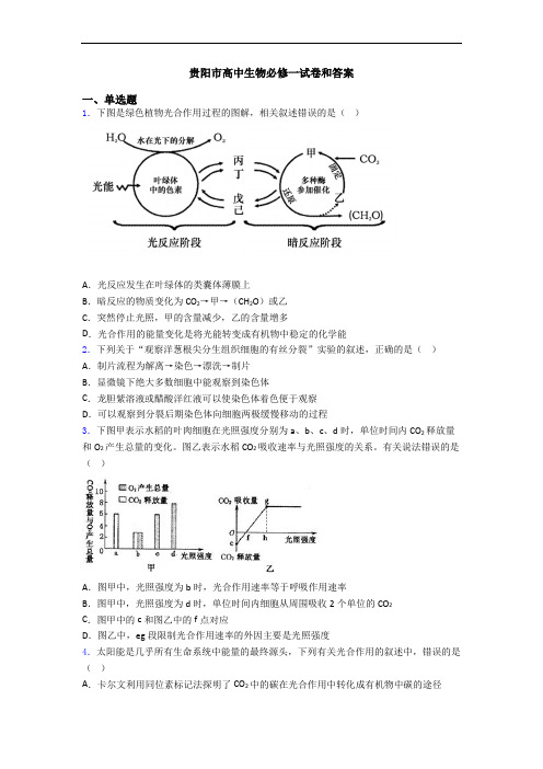 贵阳市高中生物必修一试卷和答案