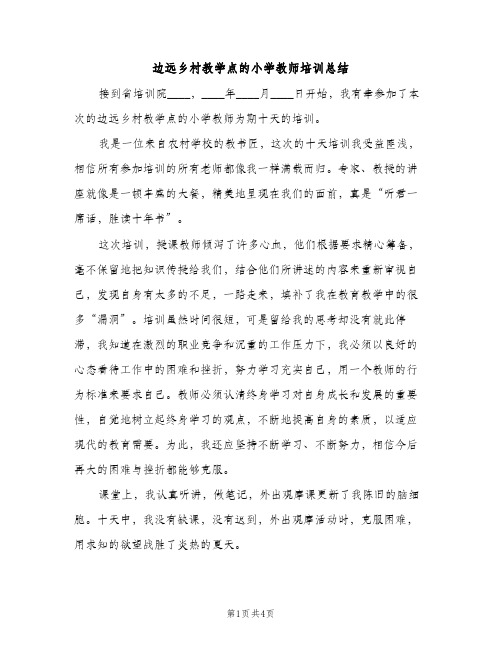 边远乡村教学点的小学教师培训总结（2篇）