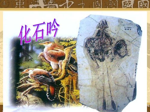 人教版初中初一七年级上册语文:化石吟_课件5