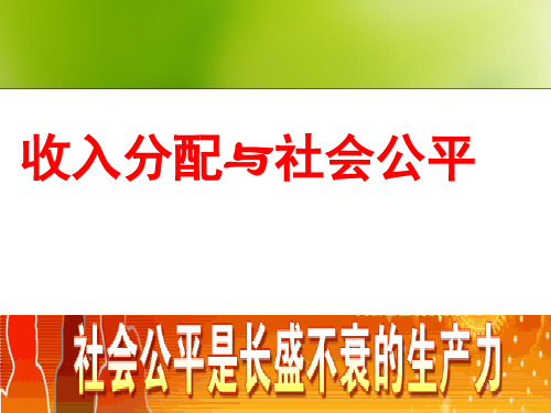 收入分配与社会公平