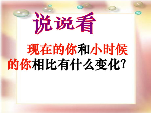 课用人教版三年级语文上册26《科利亚的木匣》ppt课件