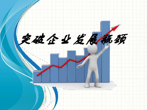 发展战略-突破企业发展瓶颈(PPT34页)