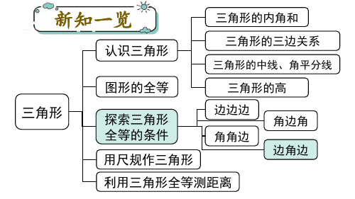 北师大版七年级数学下册第四章  三角形3 第3课时 利用“边角边”判定三角形全等