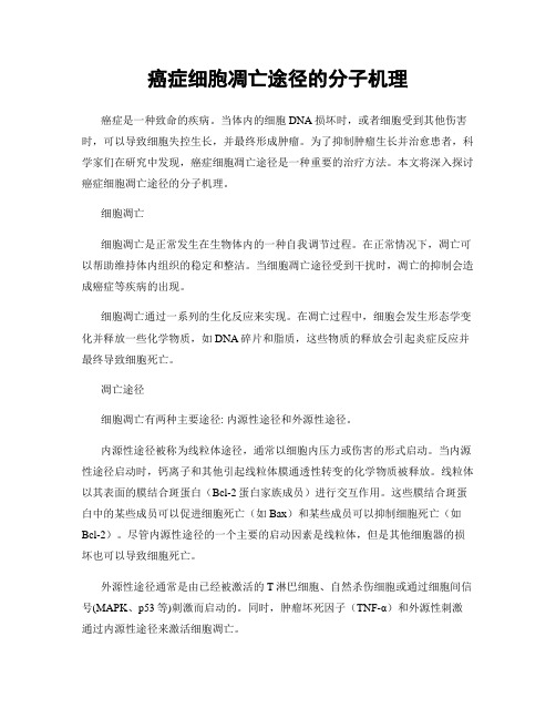 癌症细胞凋亡途径的分子机理