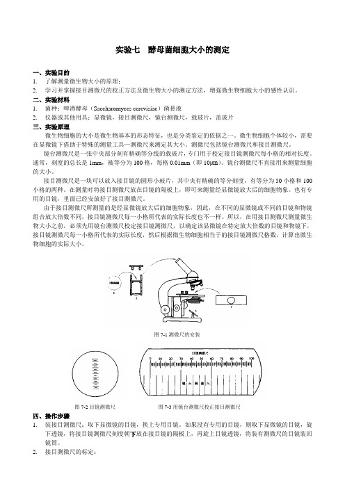 实验七 酵母菌细胞大小的测定