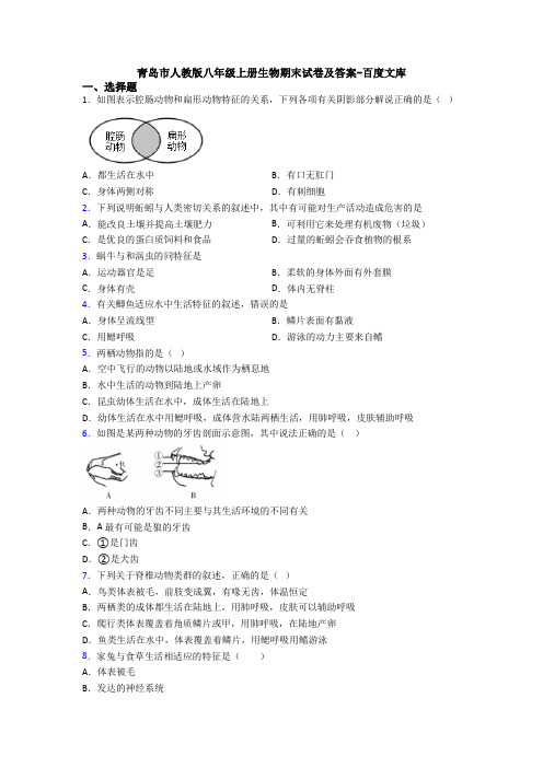 青岛市人教版八年级上册生物期末试卷及答案-百度文库