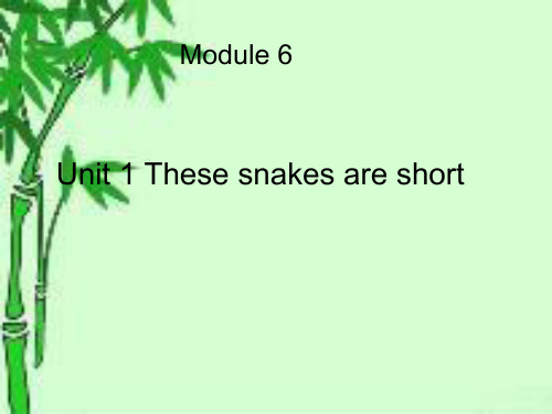 外研版一年级英语下册Module6unit1Thesesnakesareshort课件8.ppt