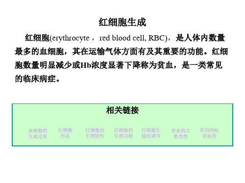 【医学ppt课件】 红细胞生成