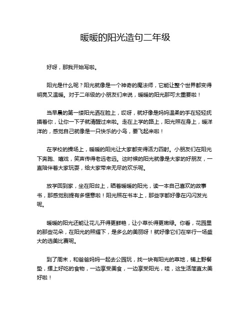 暖暖的阳光造句二年级