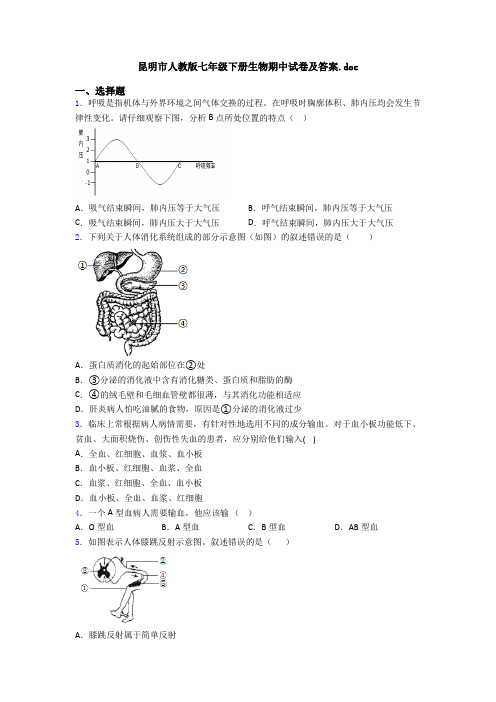 昆明市人教版七年级下册生物期中试卷及答案