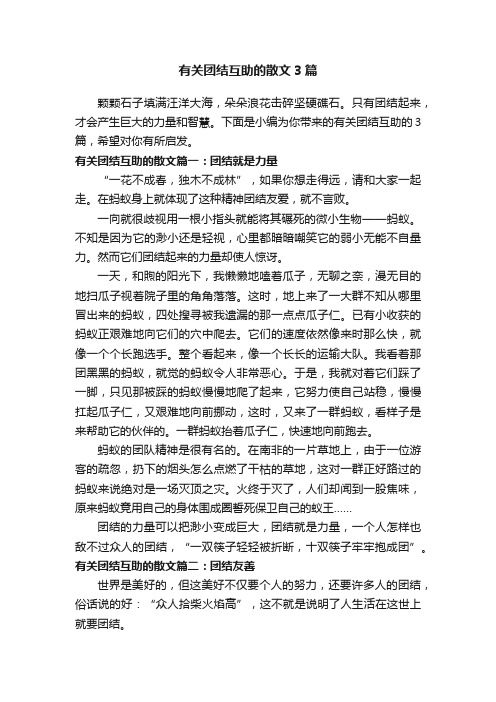 有关团结互助的散文3篇