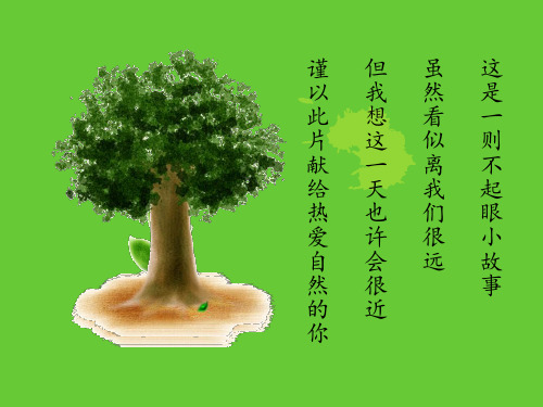 大班综合《也许绿》课件
