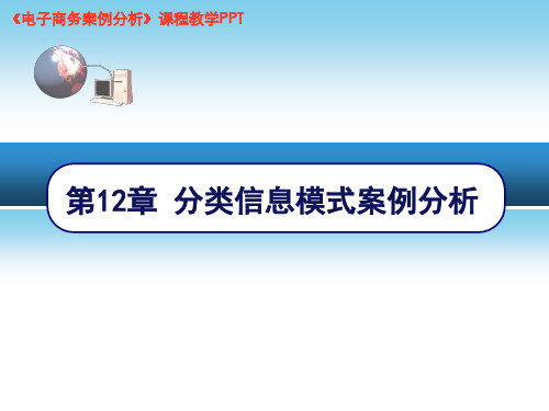 2020年电子商务案例分析分类信息模式参照模板