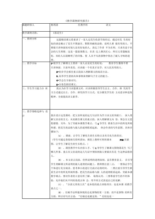 《教学课例研究报告》