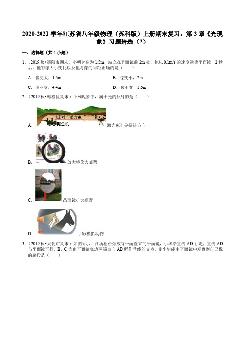 2020-2021学年江苏省八年级物理(苏科版)上册期末复习：第3章《光现象》习题精选(2)