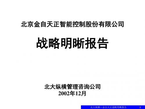 精编北大纵横—北京金自天正智能控制股份有限公司战略明晰报告资料