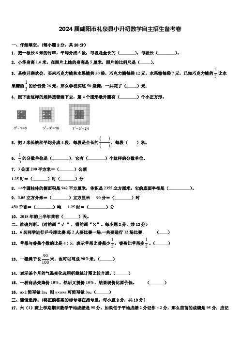 2024届咸阳市礼泉县小升初数学自主招生备考卷含解析