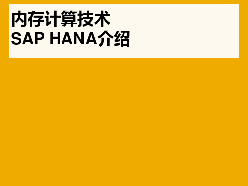 SAP HANA内存计算技术介绍