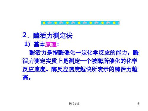 药物分析课件第13章B-生化药物和基因工程药物分析概念