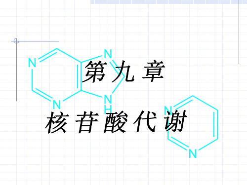 嘌呤核苷酸代谢