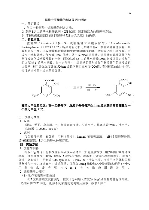 酵母蔗糖酶的制备与活力测定