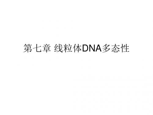 第七章线粒体dna多态性