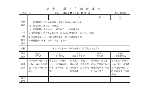 中班上学期 上下午计划 第十三周