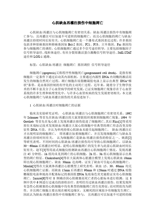 心肌缺血再灌注损伤中细胞凋亡