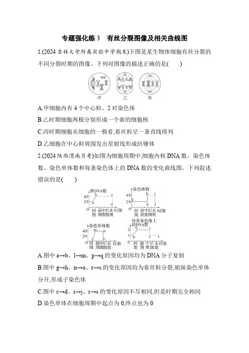 人教版高中生物必修1第6章细胞的生命历程专题强化练3有丝分裂图像及相关曲线图含答案