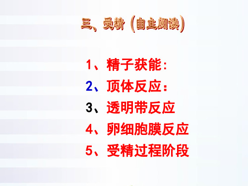 高中生物选修三课件-3.1.2体内受精和早期胚胎发育2