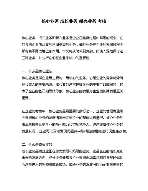 核心业务 成长业务 新兴业务 考核