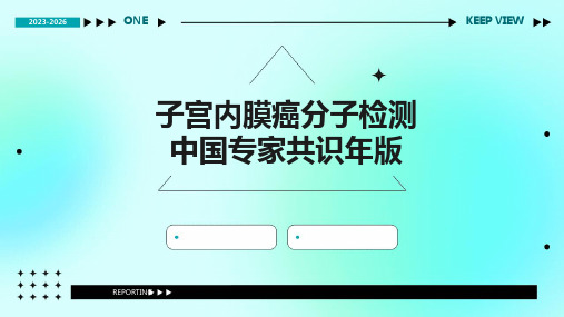 子宫内膜癌分子检测中国专家共识年版