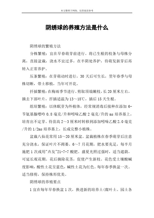 阴绣球的养殖方法是什么